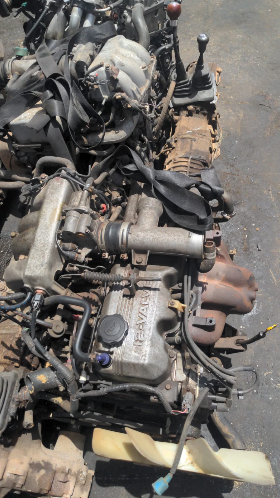 ［USED ENGINE］ MAZDA G6 FR MT 4WD Australia  wire cut no ECU AUSTRALIA