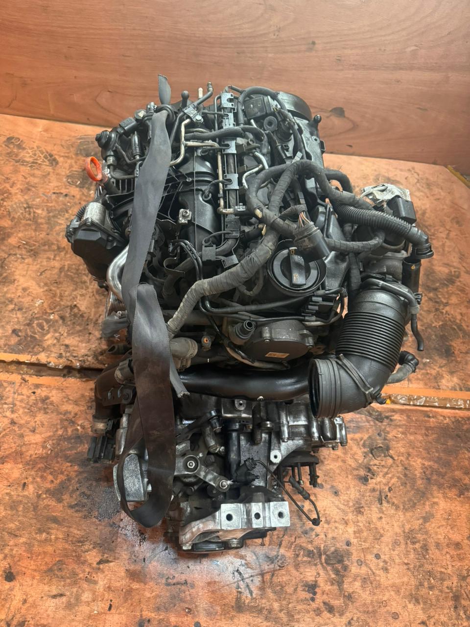 ［USED ENGINE］VOLKSWAGEN CLC FF MT 2WD INDIA